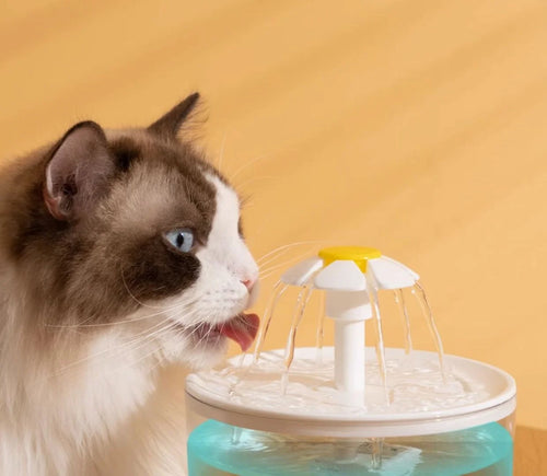 Flower pet water dispenser