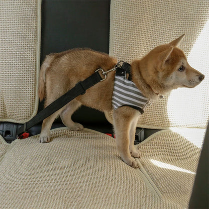 Dog car seat belt safety protector