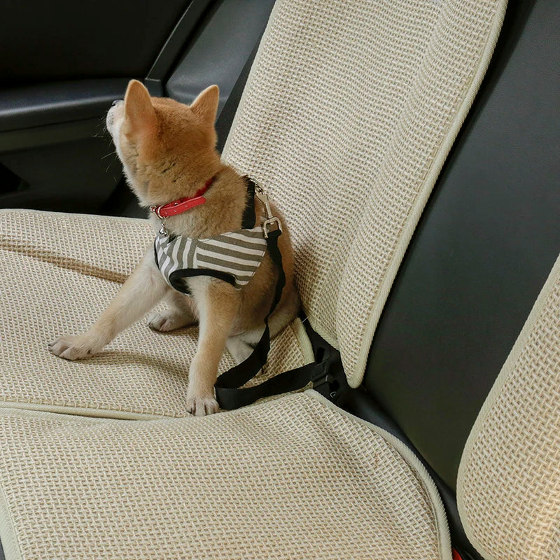 Dog car seat belt safety protector