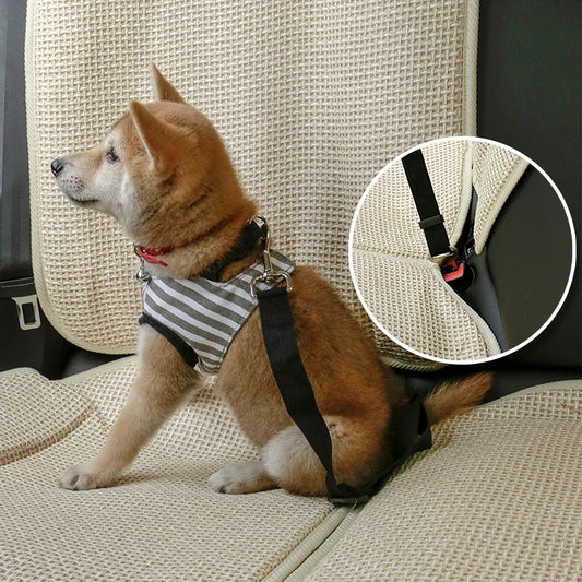 Dog car seat belt safety protector