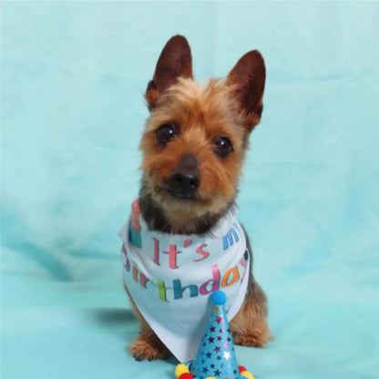 Pet Cat Dogs Caps Birthday Headwear