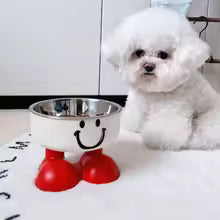 Elevated Dog Bowl Double Layer - Non-Slip Pet Food Water Bowl